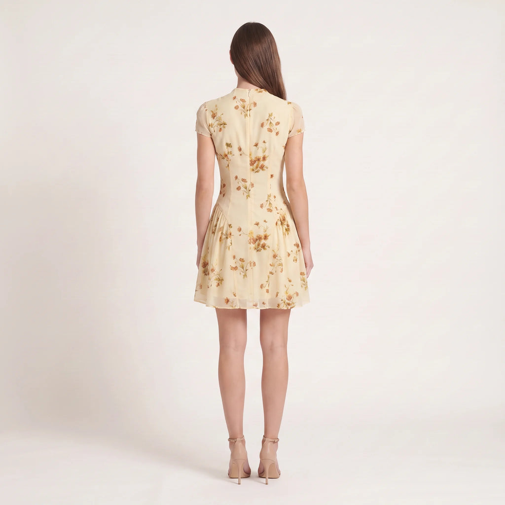 Women's Floral A-Line Mini Dress – Elegant Cap Sleeve Summer Dress-Dresses-Light Yellow-XS-Kusasi